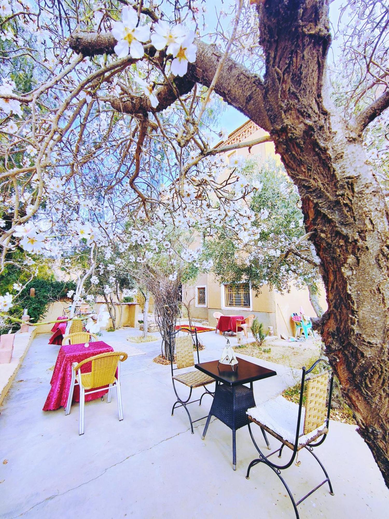 Riad Kasbah Des Roches Akhendachou n'Ait Ouffi Екстер'єр фото